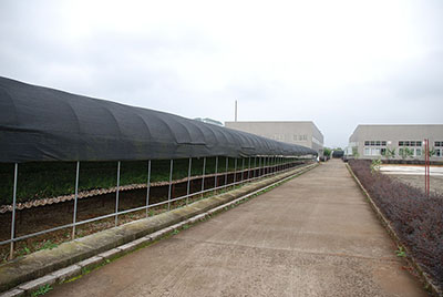 DSC_8183.JPG
